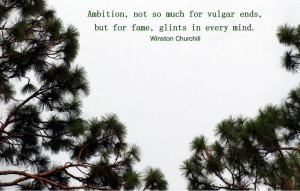 Majestic Pine Trees Picture Quotes Pinterest