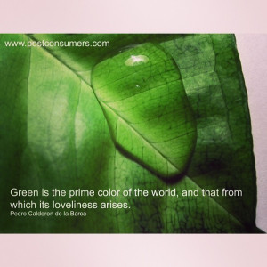 Our Favorite Green Quotes – Green is the Prime Color