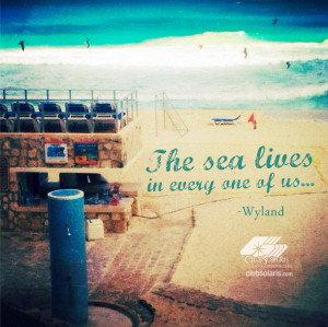 Beach Quote: The Sea Lives in Every One of Us