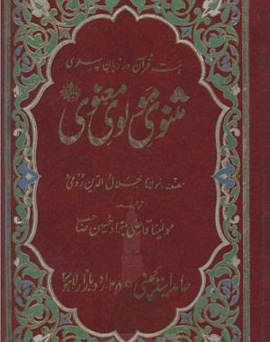 Maulana Rumi Quotes In Hindi
