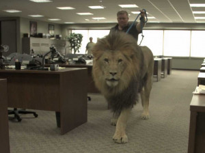 Wall Street Quotes HD Wallpaper 11