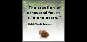 Quote “The Creation of a Thousand Forests…”