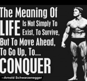 ... quotes and sayings bodybuilding quotes and sayings bodybuilding quotes