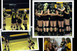 Volleyball Is My Life Quotes Sylvania: my granddaughter