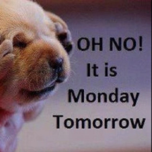 Oh No, it is Monday tomorrow.Nails Facts, Beautiful Nails, Mondays ...