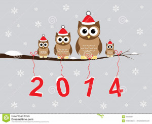 Related Pictures brown owls and 2014 on gray background