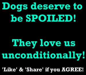 dogs deserve to be spoiled :) #pet