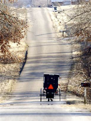 Ky. Amish help neighbors weather ice storm
