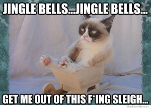10 Best Grumpy Cat Christmas memes – We all know someone who is ...