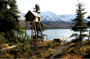 Alaska Wilderness Cabins