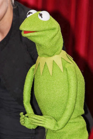 Kermit The Frog Photo Eva