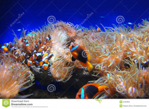 Funny Quotes Contact Dmca...