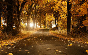 25 Stunning Fall Wallpapers