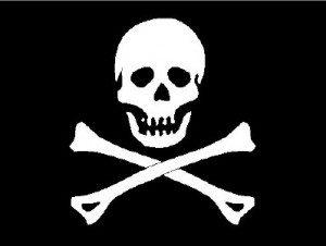 pirate party decorations - pirate flag