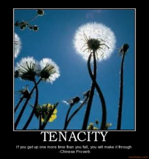 tenacity-fail-tenacity-persistence-get-up-succeed-demotivational ...