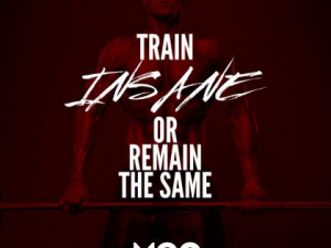 Train Insane