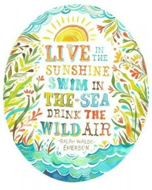 summer, quotes, sayings, cute, live, swim, sunshine ...