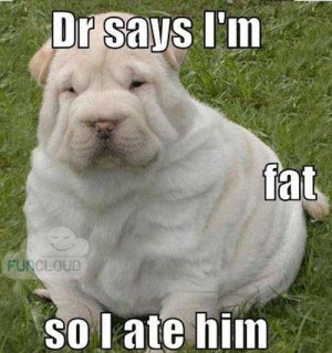 Cute fat puppy funny caption sharpeDogs Quotes, Funny Sayings, Fat ...