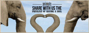 Tags: quote , Heart , animals , elephants ,
