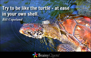Try to be like the turtle - at ease in your own shell. - Bill Copeland