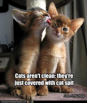 Cats Aren’t Clean, They’re Just Covered With Cat Spit.