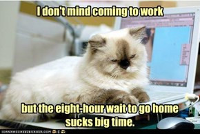 ... Work But The Eight-Hour Wait To Go Home Sucks Big Time. ~ Cat Quotes