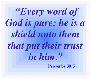Every word of God is pure