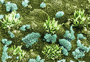 Funny Quotes Contact Us DMCA Notice