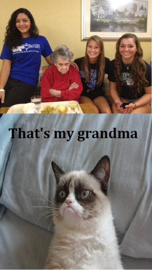 Grumpy cat's grandma!