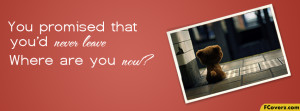 Sad Teddy Bear Facebook Timeline Cover Image