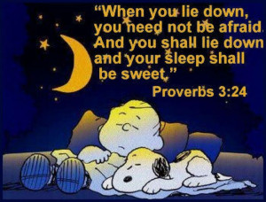 Proverbs 2: 24 When you lie down, you need not be afraid And you shall ...