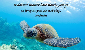 It does not matter how slowly you go as long as you do not stop ...