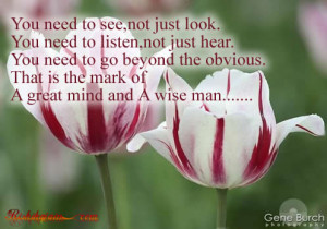 Wisdom Quotes, Great Quotes, Pictures, Inspirational Quotes, Pictures ...