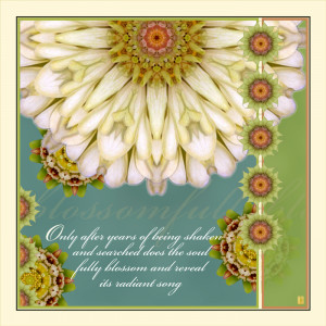 THE SOUL FULLY BLOSSOMS