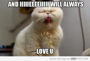 Romantic Messages + Flirty Text Messages = Everlasting Love