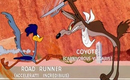 watch The Road Runner Show s1 e3 - Going! Going! Gosh! online