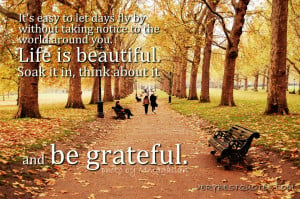 ... you. Life is beautiful. Soak it in, think about it and be grateful