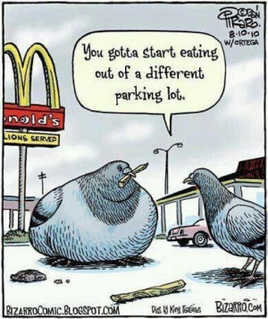 ... lot laugh funny stuff humor fast food weights loss funnystuff birds