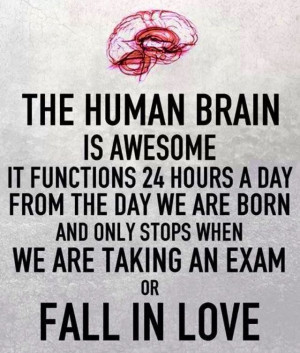 The Human Brain Functioning
