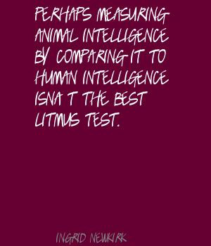 -measuring-animal-intelligence-by-comparing-it-to-human-intelligence ...