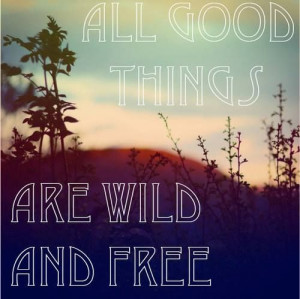 Henry David Thoreau #quote #outdoors #freedom