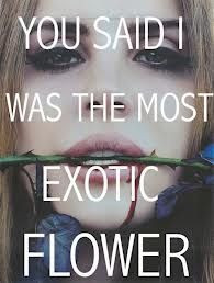 YOU SAID I WAS THE MOST EXOTIC FLOWER