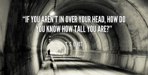 If you aren't in over your head, how do you know how tall you are ...