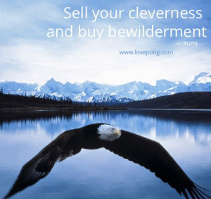 Sell your cleverness and buy bewilderment