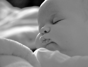 am also thinking about kidnapping Jonathon and Shoshi.