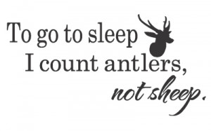 Wall Decals Nursery Hunting Deer Baby Humor Decor Quotes Removable ...