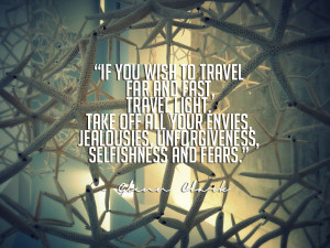 12. Reis quote: We Are Travellers. How adventurous are you?