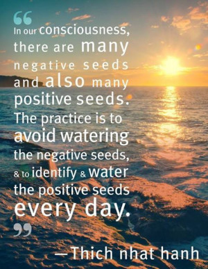 negative and positive seeds # quotes