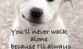 Cute Puppy Quotes Sayings