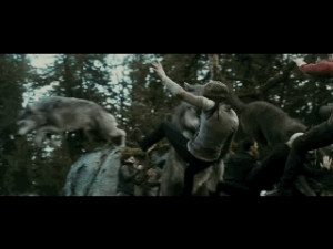 wolf pack #wolf #gif #attack #twilight eclipse #fight #battle